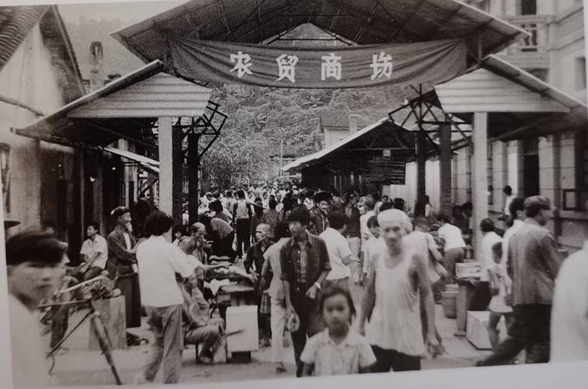 青鑫再生资源